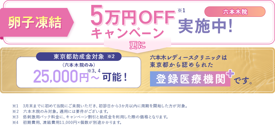 1/2~3/31限定パックプランが5万円OFF